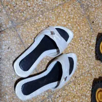 کفش|کیف، کفش، کمربند|اصفهان, سرشبادران|دیوار