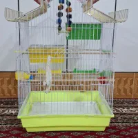 قفس پرنده