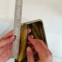 خیارشور حلب ۱۷کیلویی سایز ممتاز|عمدهفروشی|بهار, |دیوار