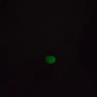 انگشتر نقره با نگین شب نما و زیبا|زیورآلات و اکسسوری|سرپل ذهاب, |دیوار