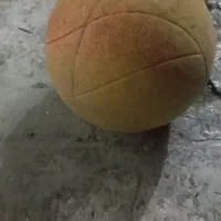 دوعددتوپ سالم دانی ۱۵۰هزار