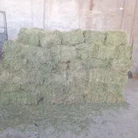 خرید و فروش ذرت.کنسانتره.یونجه.سبوس