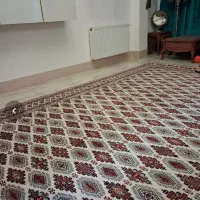 فروش فوری فوری به دلیل مهاجرت|فرش|بجنورد, |دیوار