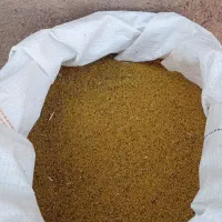 تخمه یونجه