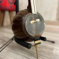 کمانچه دستساز داوود عطایی|سازهای سنتی|شیراز, دشت چنار|دیوار