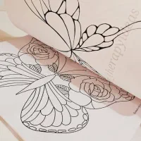 کتاب الگوی آماده|کتاب و مجله آموزشی|تهران, شهر زیبا|دیوار