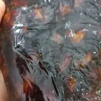 خرما بریحی درجه یک