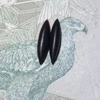 تعدادی دانه برنجی