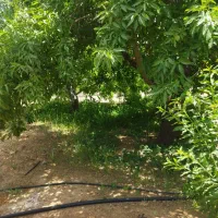 باغ 750متری پل زمانخان|فروش زمین و ملک کلنگی|فولادشهر, فولادشهر|دیوار