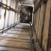 شاگرد اسانسور