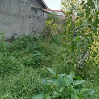 فروش زمین|فروش زمین و ملک کلنگی|رشت, سیا اسطلخ|دیوار