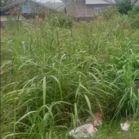 بردوم جاده اصلی(زمین شهری)محیط روستایی