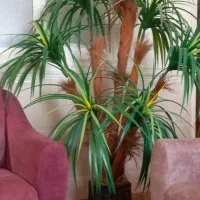 درختچه نخل مصنوعی