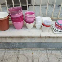تعدادی گلدان فروشی|گل و گیاه طبیعی|تهران, جیحون|دیوار