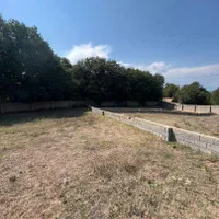 فرصت طلایی سرمایهگذاری در منطقهای خوشآبوهوا|فروش زمین و ملک کلنگی|کجور, |دیوار