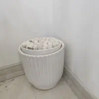 گل  آپارتمانی و گلدان|گل و گیاه طبیعی|جم, |دیوار