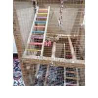 قفس پرنده|لوازم جانبی حیوانات|اهواز, اهواز|دیوار