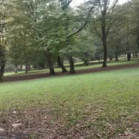 زمین ۲۳۶متری دراسله سوادکوه