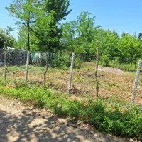 فروش فوری زمین مسکونی|فروش زمین و ملک کلنگی|احمدسرگوراب, |دیوار