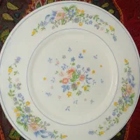 بشقاب آرکوپال