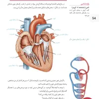 تدریس زیست شناسی دهم تا دوازدهم تجربی