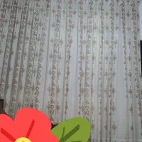 پرده در حد نو