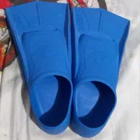 فین شنا