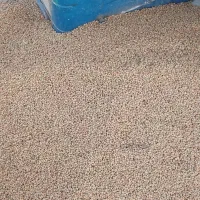 لوبیا.محلی. دارم