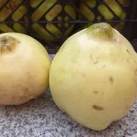 به درجه یک کیلو۵۰|خوردنی و آشامیدنی|شیراز, شهرک سعدی|دیوار