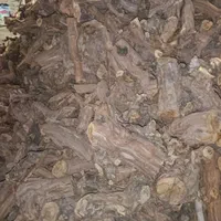 خریدار چوب باغی|خدمات باغبانی و درختکاری|بیرجند, |دیوار