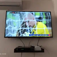 تلوزیون|تلویزیون و پروژکتور|سرپل ذهاب, |دیوار