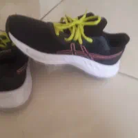 کفش ورزشی|کیف، کفش، کمربند|شیراز, شاه قلی بیگی|دیوار