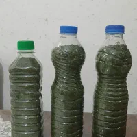 خوراکی