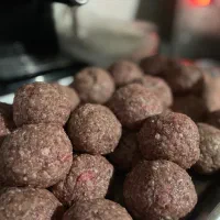 شریک کاری با سرمایه