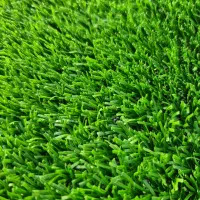 چمنمصنوعی بین سنگی، تایل چمنی، چمننواری|خدمات باغبانی و درختکاری|تهران, صادقیه|دیوار