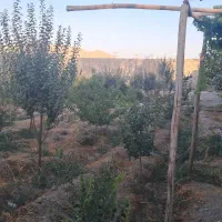 باغ ویلا نقلی خانوادگی|فروش خانه و ویلا|فلاورجان, |دیوار