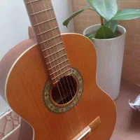 گیتار پارسی m5