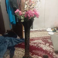 گلدون نو نو سالم