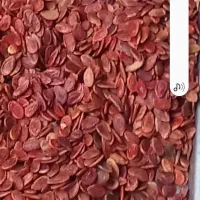 تخمه هندوانه