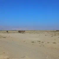 نجم-اباد-2000-متر-مناسب-گلخانه-وباغ-و000