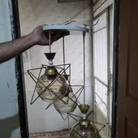 لوسترسه شاخه