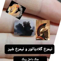 کلکسیون نگین شجرمصور معاوضه با انگشتر اوپال زبرجد|کلکسیون اشیاء عتیقه|زنجان, |دیوار