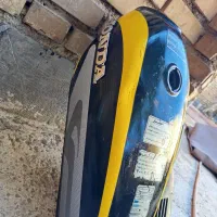 کفتر|پرنده|خرمشهر, |دیوار