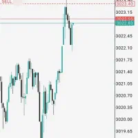 نیروی نیمه حرفه ای تریدر و مارکتینگ