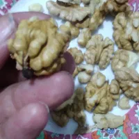 گردو ۷۰۰