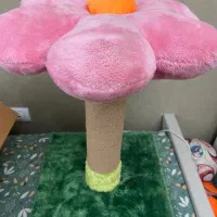 اسکچر گربه|لوازم جانبی حیوانات|قم, باجک یک|دیوار