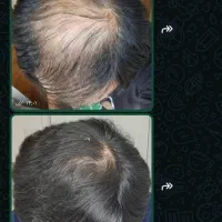 نمایندگی شرکت بیز