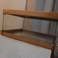 آکواریوم.درختچه.بستر.لومن