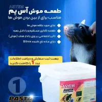 سمپاشی سوسک و موش ساس کنه