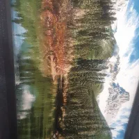 تاباو فرش